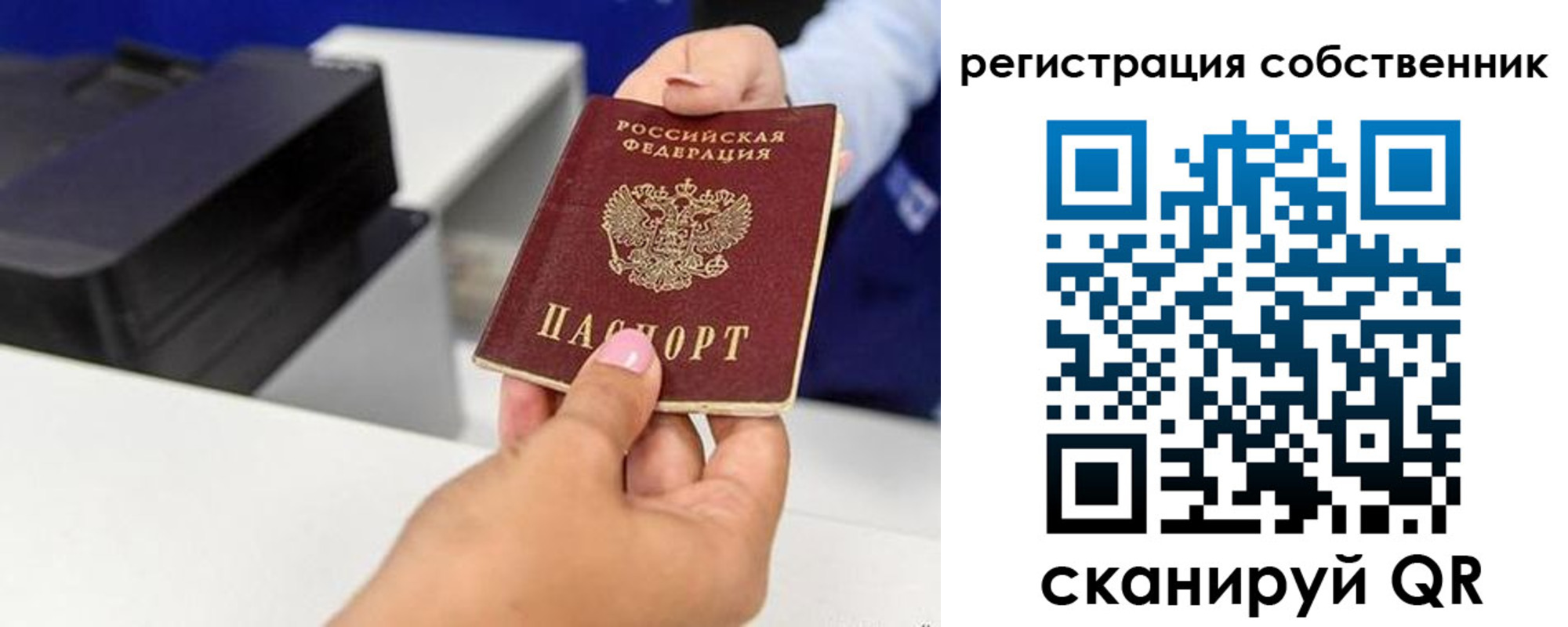 прописка для школы в Выксе